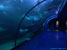 Океанариум в Пеньлае. Penglai aquarium